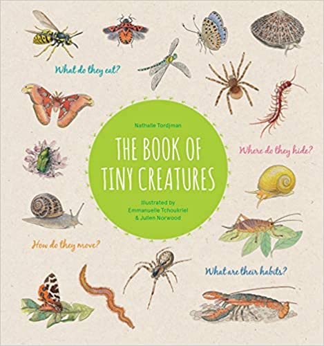 Books for 5 year olds - The Book of Tiny Creatures