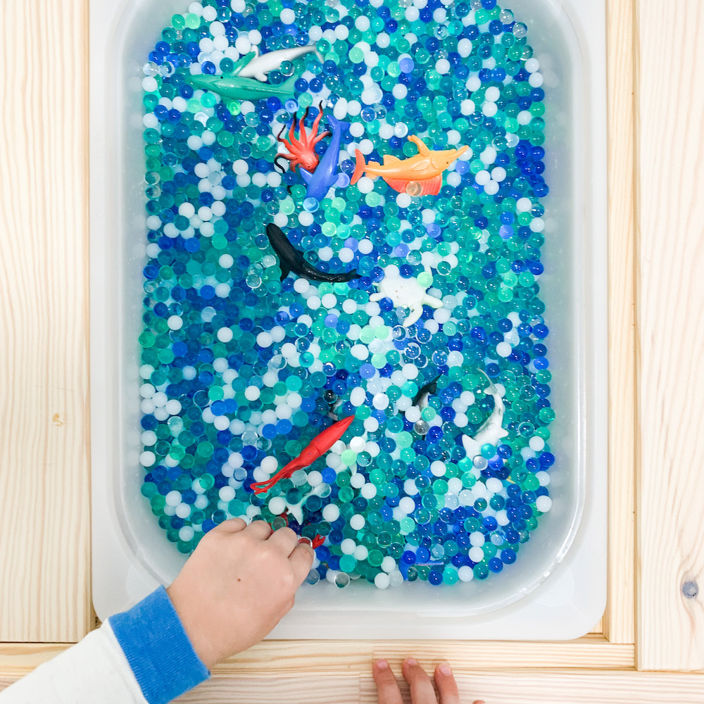 Waterbeads and animals